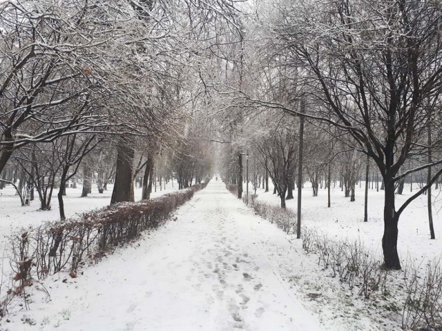 Первый снег в парке "Лианозовский"