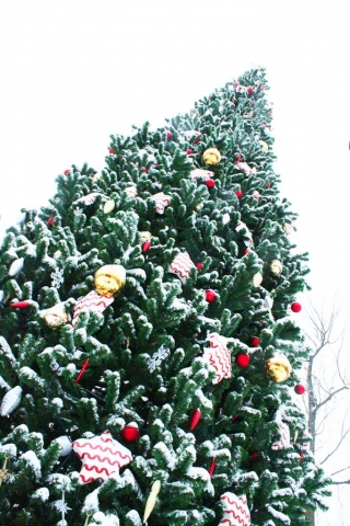 Новогодняя елка в Лианозовском парке