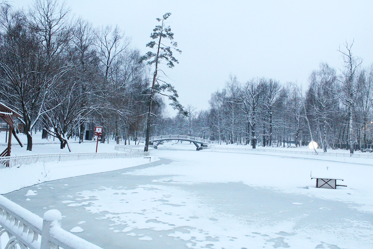 Лианозовский парк после снегопада