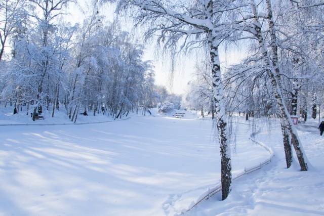 Лианозовский парк - зима 2018 г.