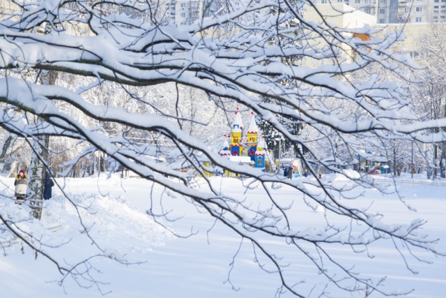 Лианозовский парк - зима 2018 г.