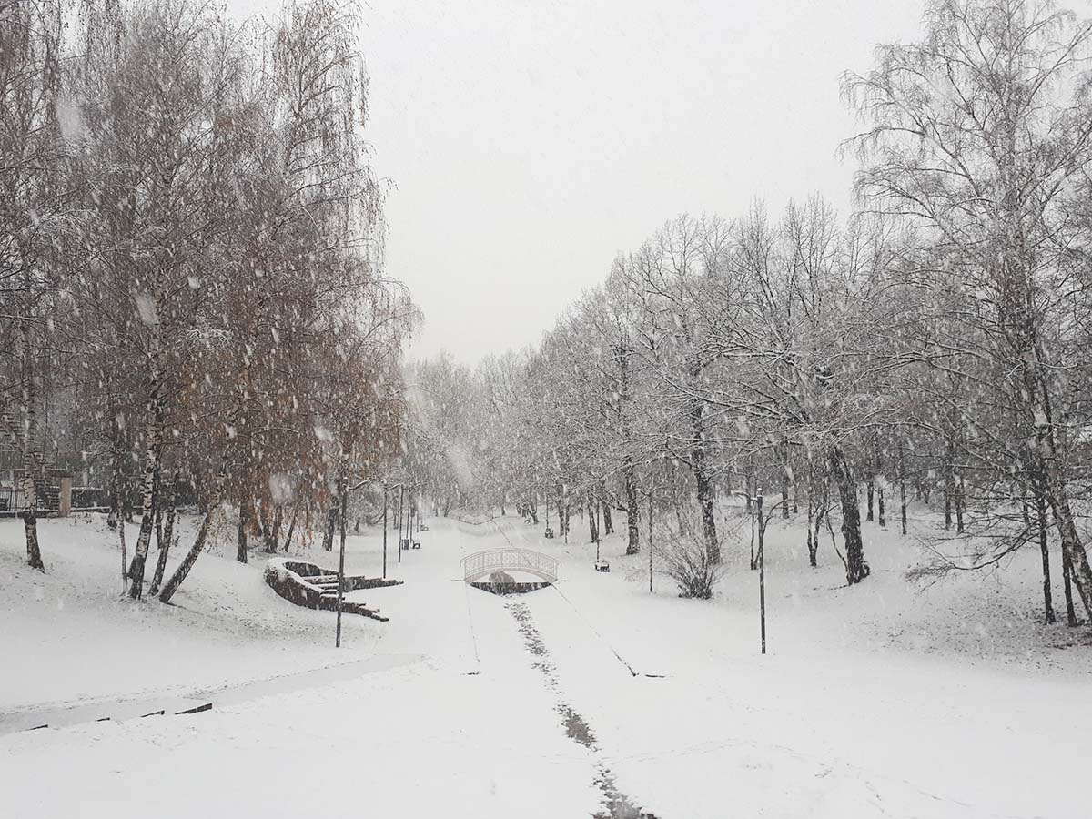 Первый снег в парке "Лианозовский"