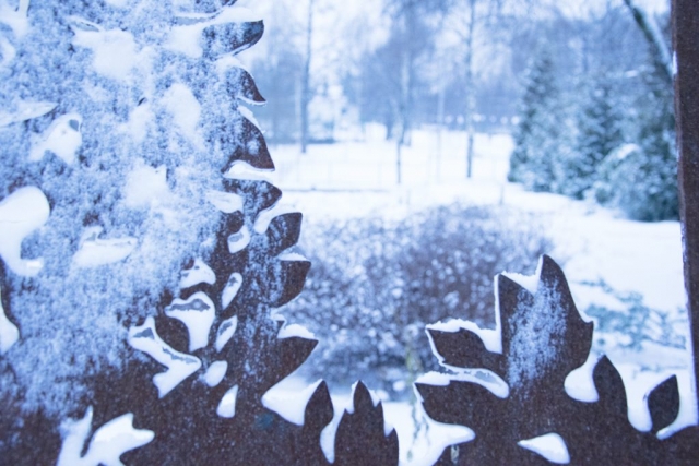 Снегопад в Лианозовском парке