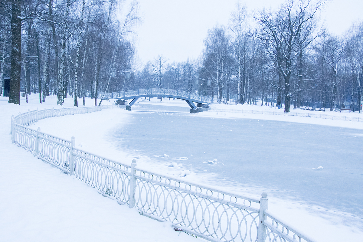 Снегопад в Лианозовском парке