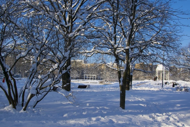 Парк "Дубки", зима 2018 г.
